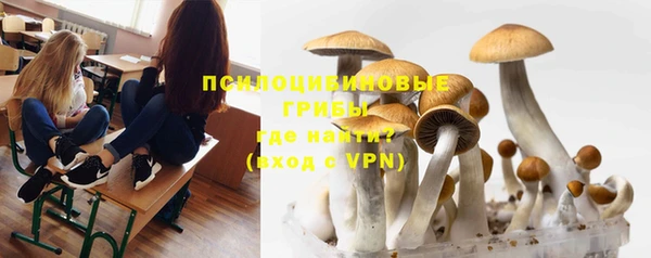 герыч Дмитровск