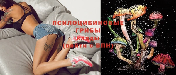 mdpv Дмитриев