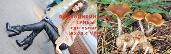 герыч Дмитровск