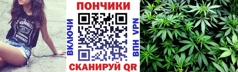 Конопля MAZAR Новопавловск